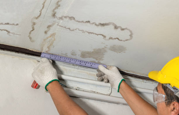 Reliable Sewage Cleanup contractor in Gibsonburg, OH by Water Damage Irwin